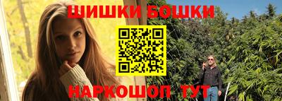 молекула духа Шелехов