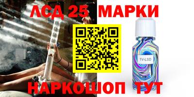 молекула духа Шелехов