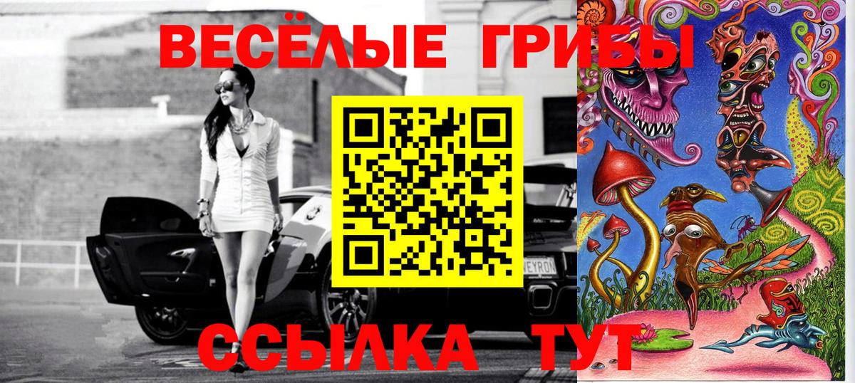 Заволжье  Галлюциногенные грибы мицелий  Галлюциногенные грибы GOLDEN TEACHER  Вход с VPN 